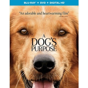 Dogs Purpose