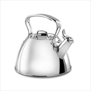 Specialty Stainless Steel Tea Kettle