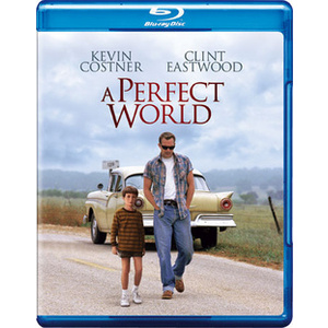 Perfect World