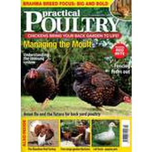 Practical Poultry (UK) - 13 Issues - 1 Year