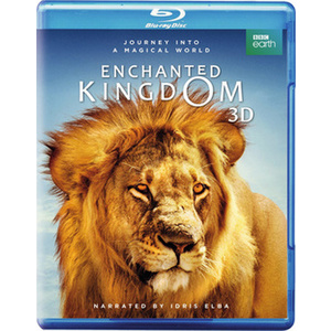 Enchanted Kingdom