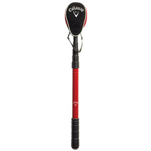 Pocket 6-ft Ball Retriever