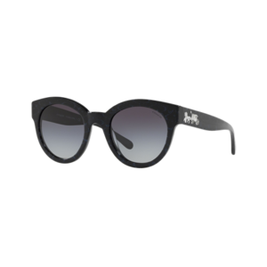 Coach Women's HC8265 Sunglasses