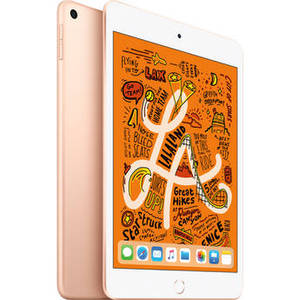7.9" iPad mini (Early 2019, 256GB, Wi-Fi Only, Gold)