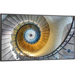 P554 55"-Class Full HD Commercial IPS LED Display