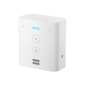 Amazon Echo Flex