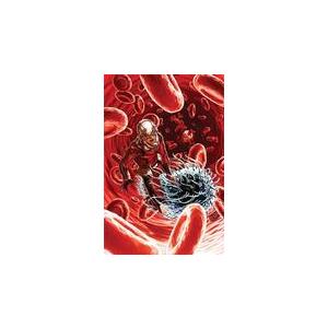 Ant Man - 12 Issues - 1 Year