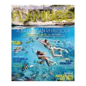 Flamingo - 4 Issues - 1 Year