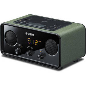 TSX-B72 Desktop Audio System (Dark Green)