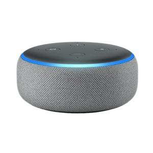 Amazon Echo Dot - Heather Gray