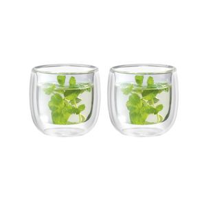 Sorrento 2-Piece Double-Wall Glass Tea Cup Set