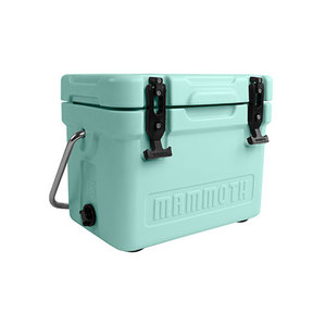 Cruiser 15qt Rotomolded Cooler Sea Foam Green