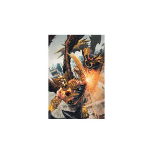 Hawkman - 12 Issues - 1 Year