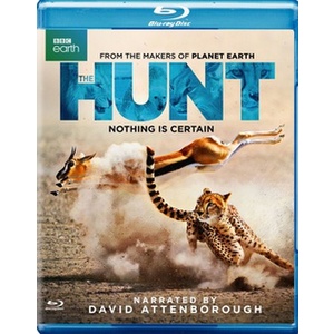 Hunt
