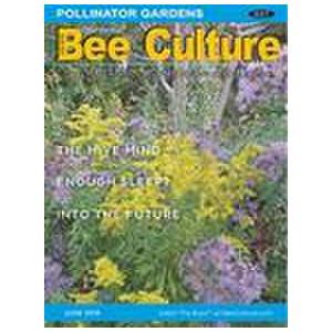 Bee Culture - 12 Issues - 1 Year