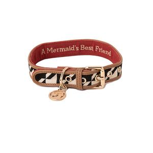 Stoddard Dog Collar Medium