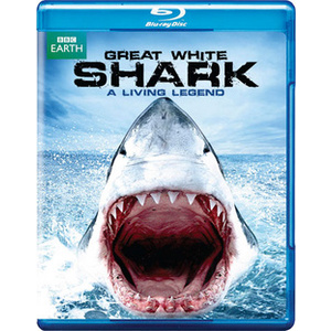 Great White Shark-Living Legend
