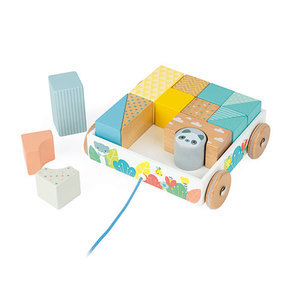 Pure Pull-Along Blocks Cart Ages 18-36 Months