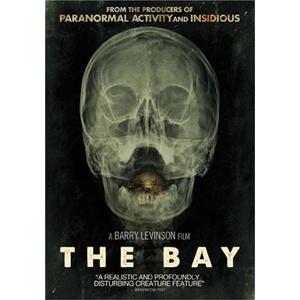 Bay
