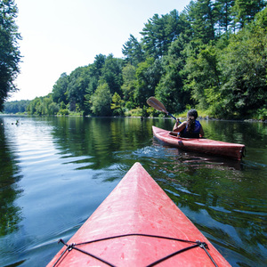 Kayak and Wine Adventure