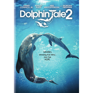 Dolphin Tale 2