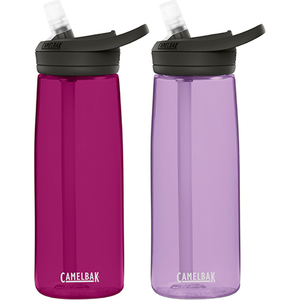 2 Pack of Eddy Plus .75L Water Bottles Lavender/Magenta