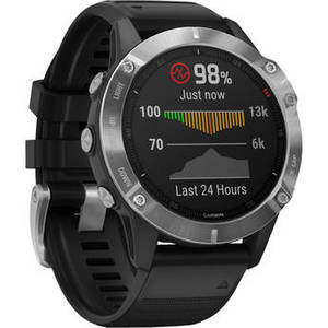 fenix 6 Multisport GPS Smartwatch (47mm, Silver / Black Band)