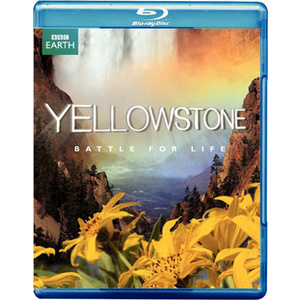 Yellowstone-Battle for Life