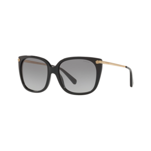 Coach Women's HC8272 Sunglasses
