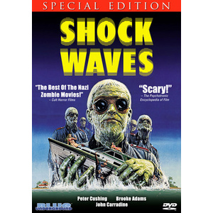 Shock Waves