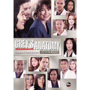 Greys Anatomy-10th Season