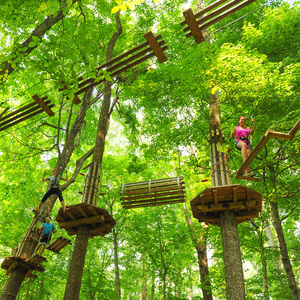 Ultimate Zip Line Adventure Course - Indianapolis, IN