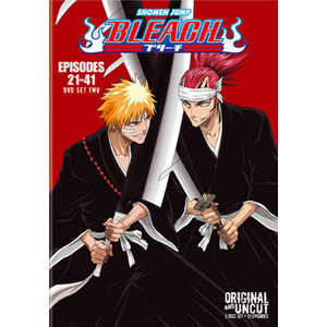 Bleach Box Set 2