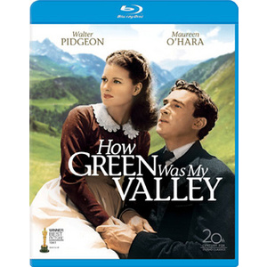 How Green Was My Valley
