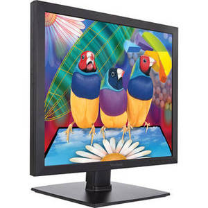 VA951S 19" 5:4 IPS Monitor