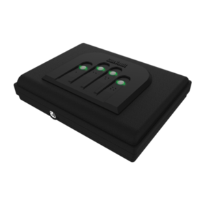 GunVault MicroVault MV550-19