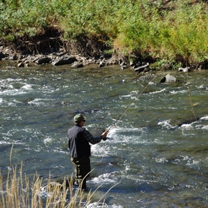Guided Fly Fishing