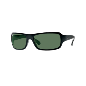 Ray-Ban Polarized RB4075 Sunglasses
