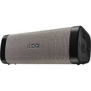 DSB-250BT Envaya Portable Bluetooth Speaker (Gray)
