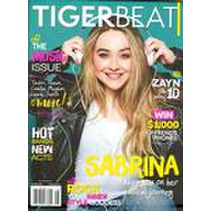 Tiger Beat - 6 Issues - 1 Year