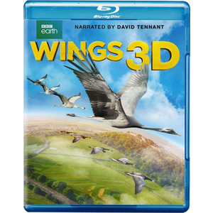 Wings