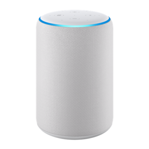 Amazon Echo - Sandstone
