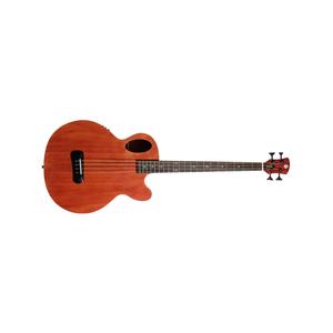 Timbre Acoustic Bass - Walnut Stain with Gig Bag