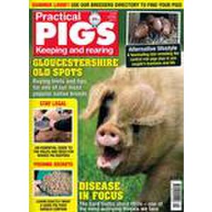 Practical Pigs (UK) - 4 Issues - 1 Year