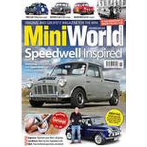 MiniWorld - 13 Issues - 1 Year