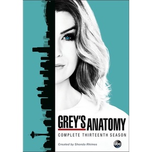 Greys Anatomy-13th Season