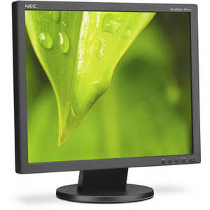 AS193i AccuSync 19" Value LED Backlit IPS LCD Desktop Monitor