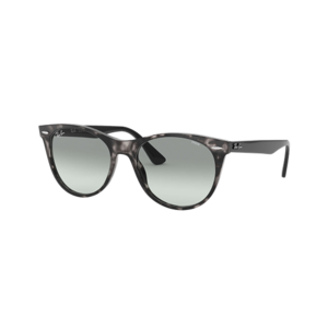 Ray-Ban Wayfarer II Evolve Sunglasses