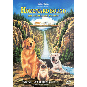 Homeward Bound